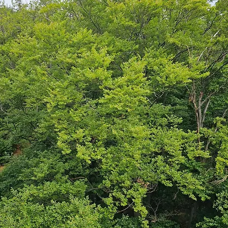 Appartement Z Pieknym Widokiem Na Gory