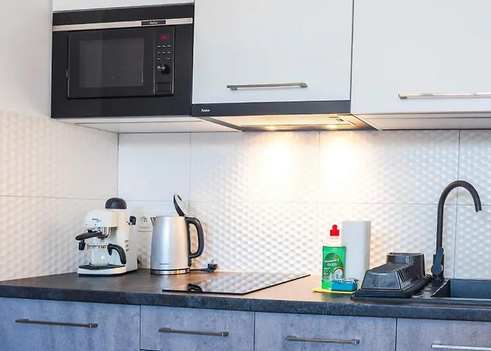 Z Pieknym Widokiem Na Gory Appartement *