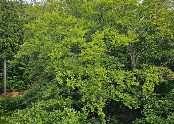 Appartement Z Pieknym Widokiem Na Gory